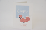 geboortekaartje casper lichtblauw